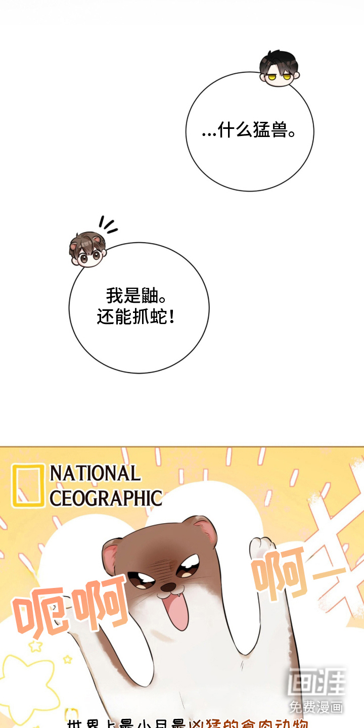 猛兽勿近漫画-图15