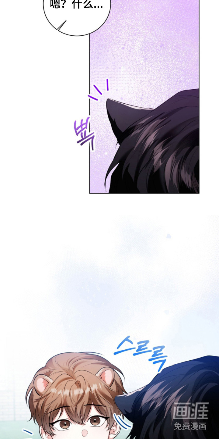 猛兽勿近漫画-图1