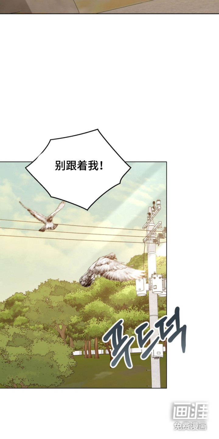 猛兽勿近漫画-图26