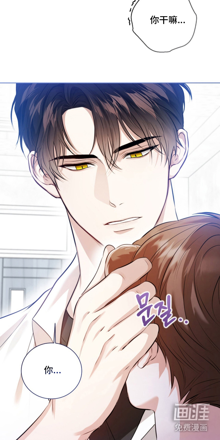 猛兽勿近漫画-图17