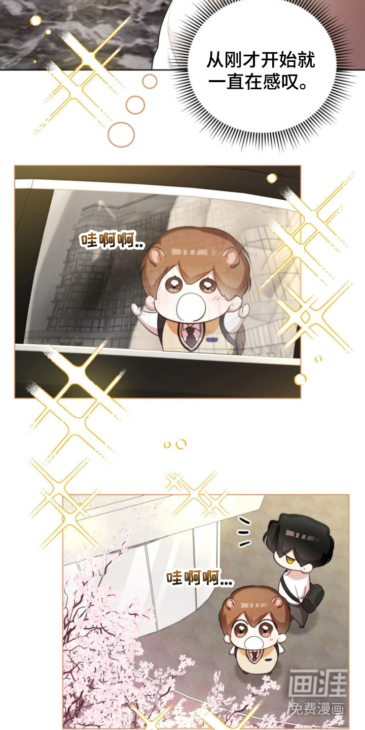 猛兽勿近漫画-图16