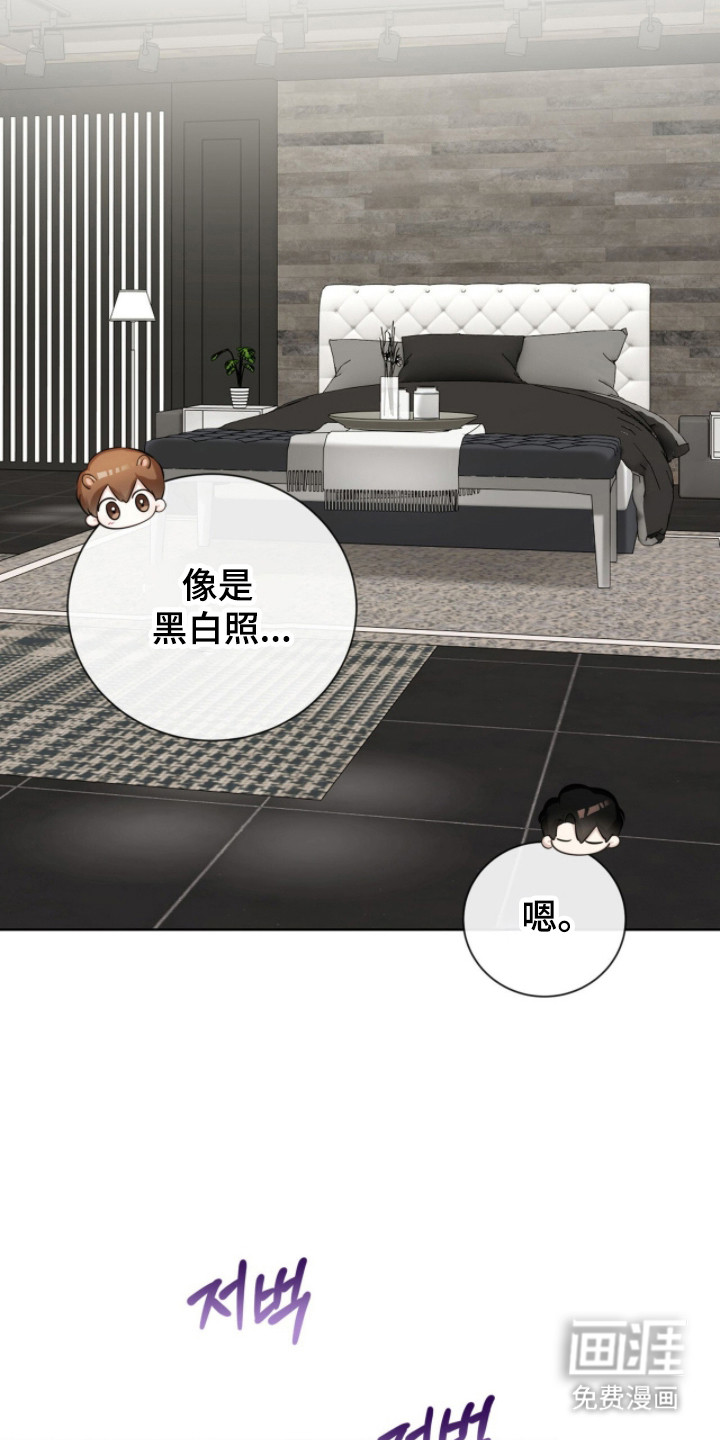 猛兽勿近漫画-图11