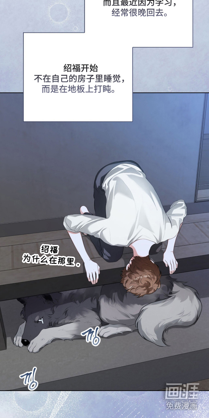 猛兽勿近漫画-图7