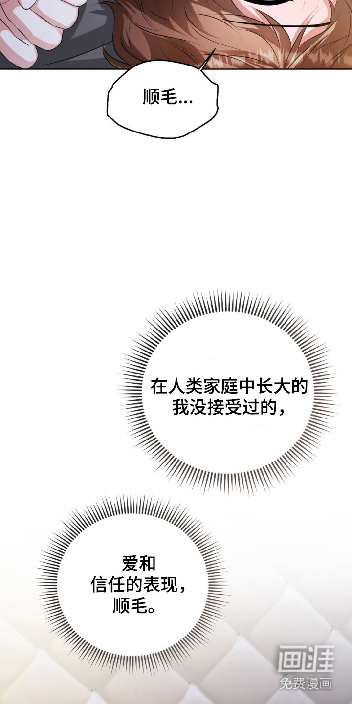 猛兽勿近漫画-图4