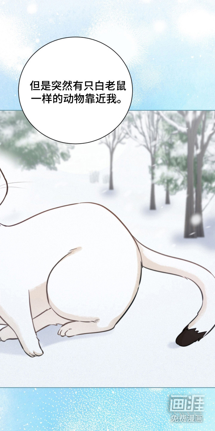 猛兽勿近漫画-图24