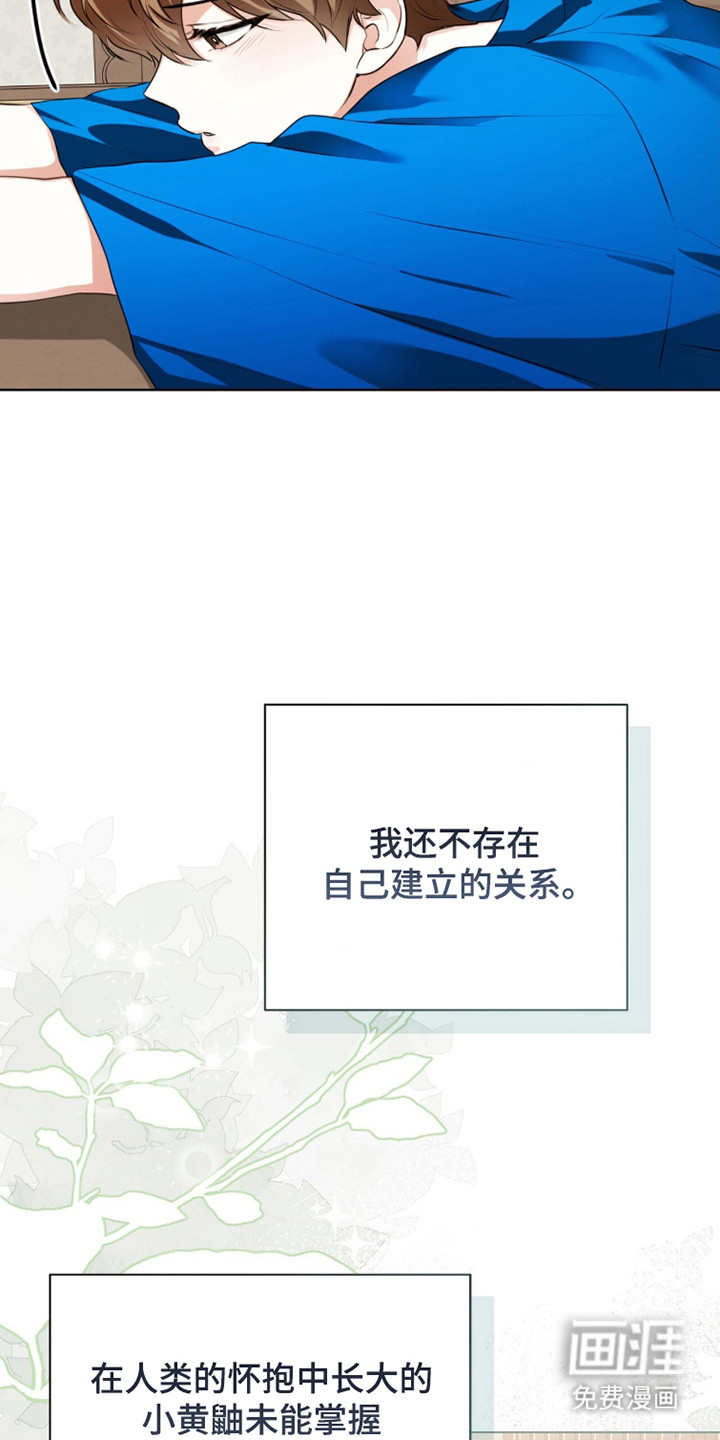 猛兽勿近漫画-图31