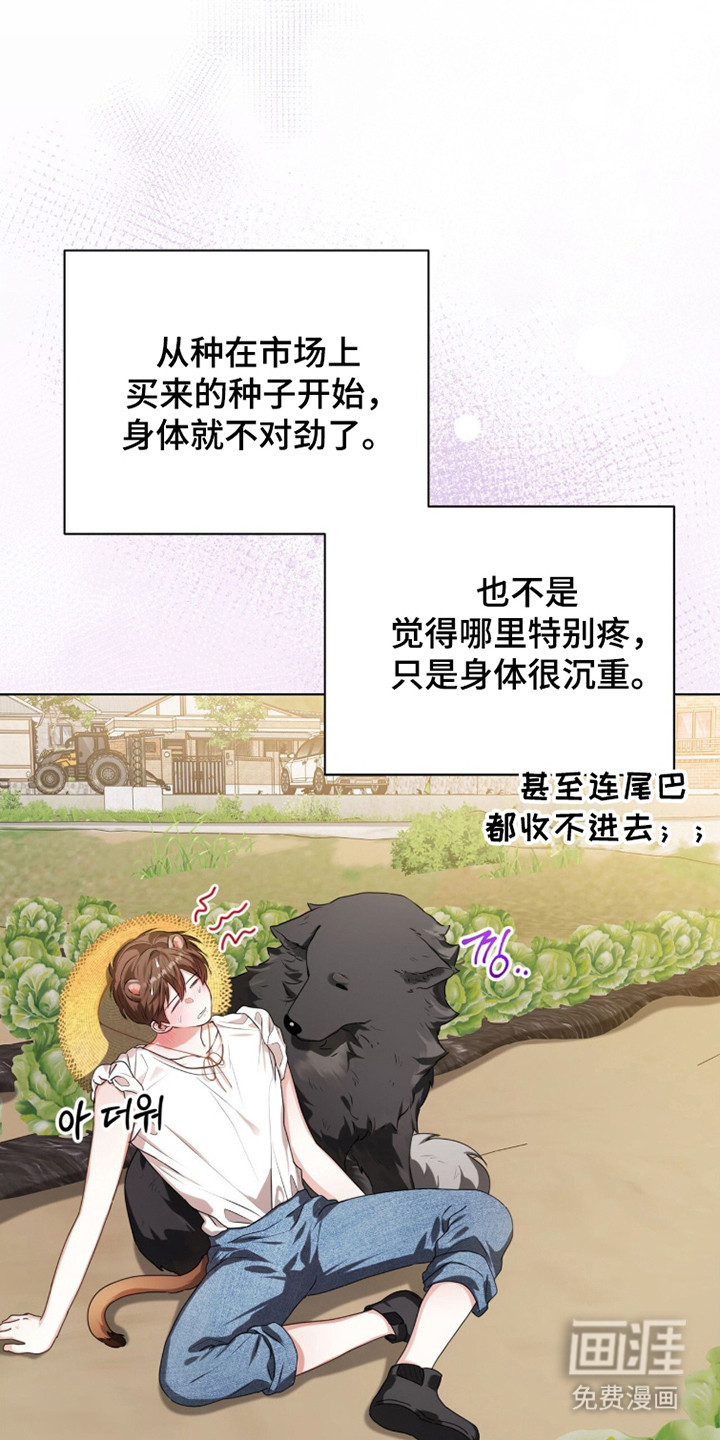 猛兽勿近漫画-图22