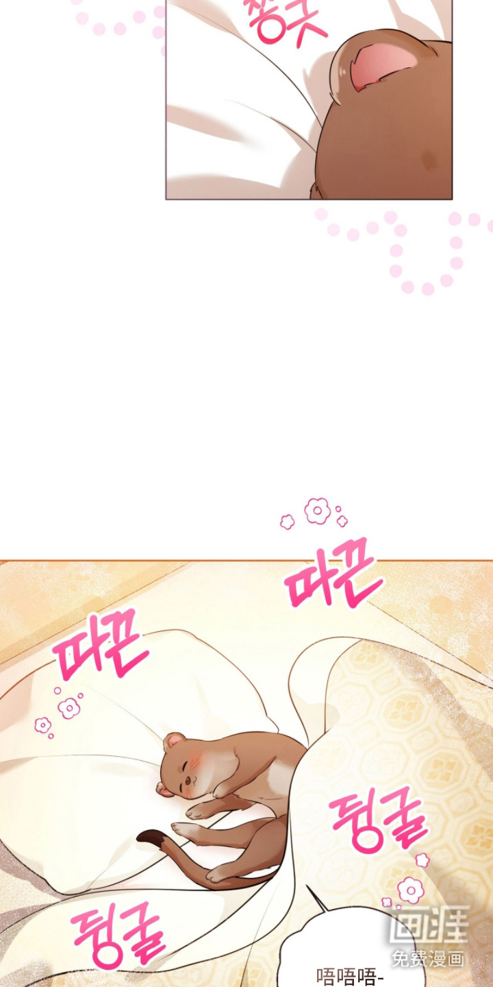 猛兽勿近漫画-图22