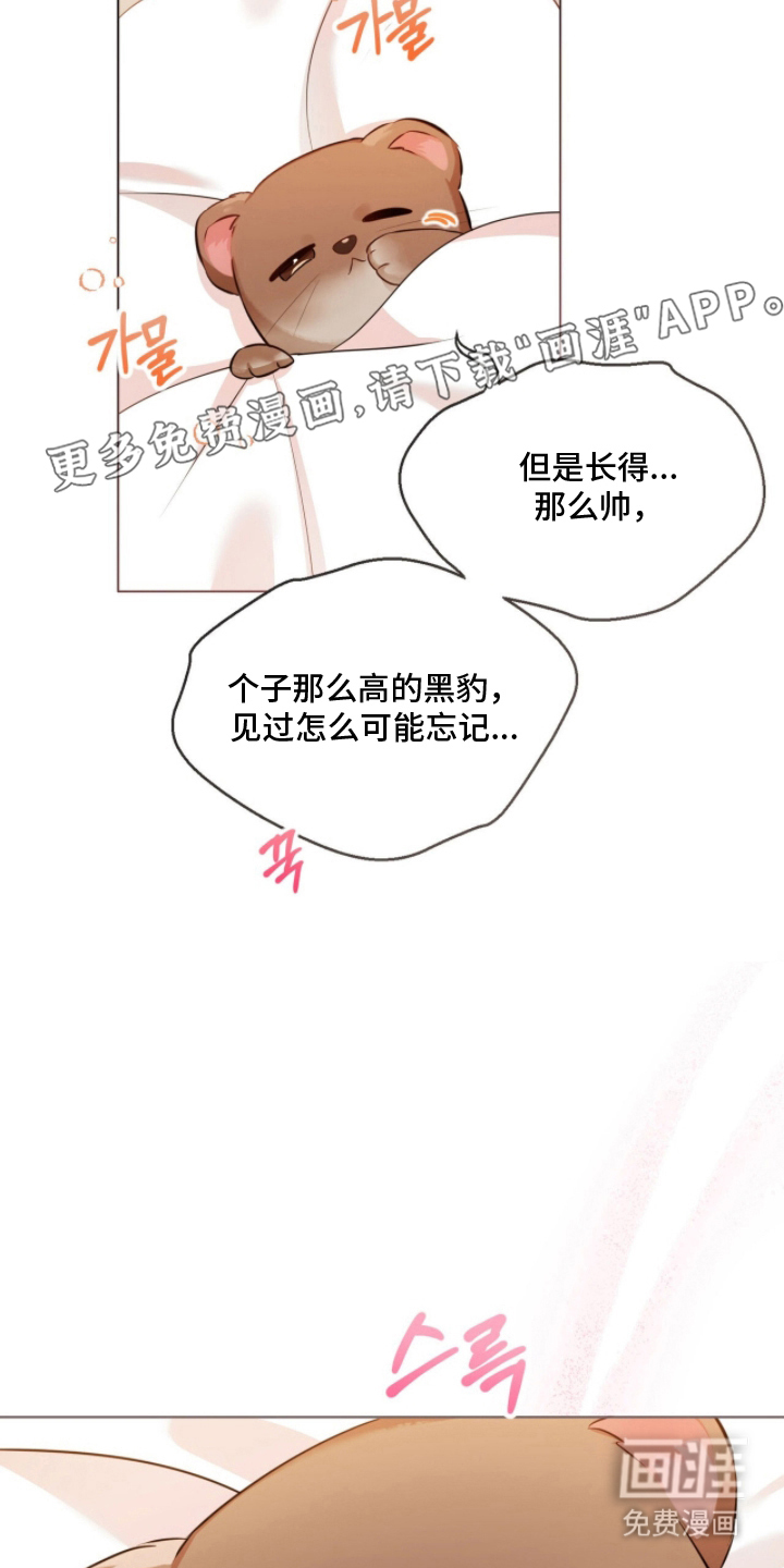 猛兽勿近漫画-图1