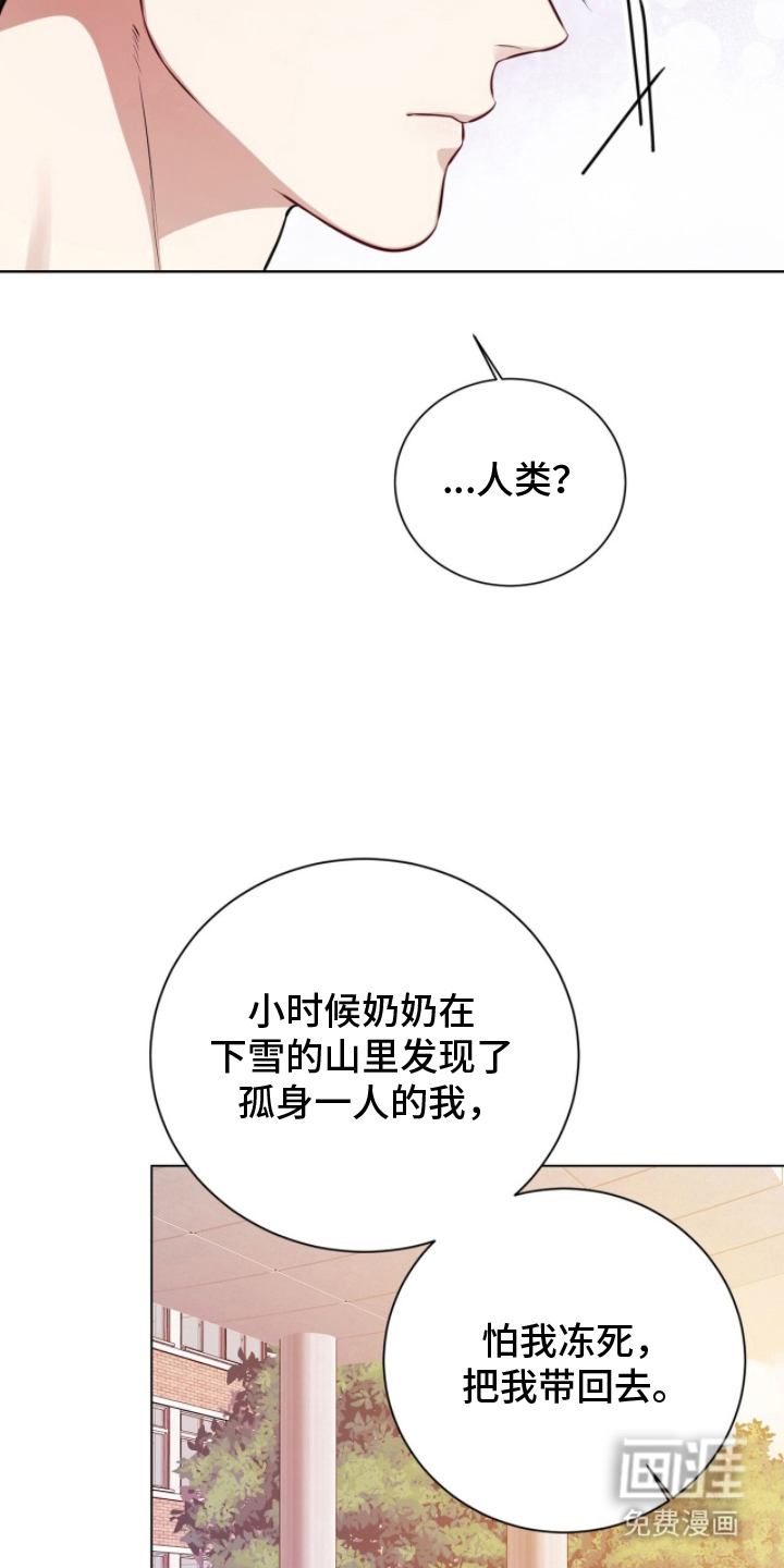 猛兽勿近漫画-图19