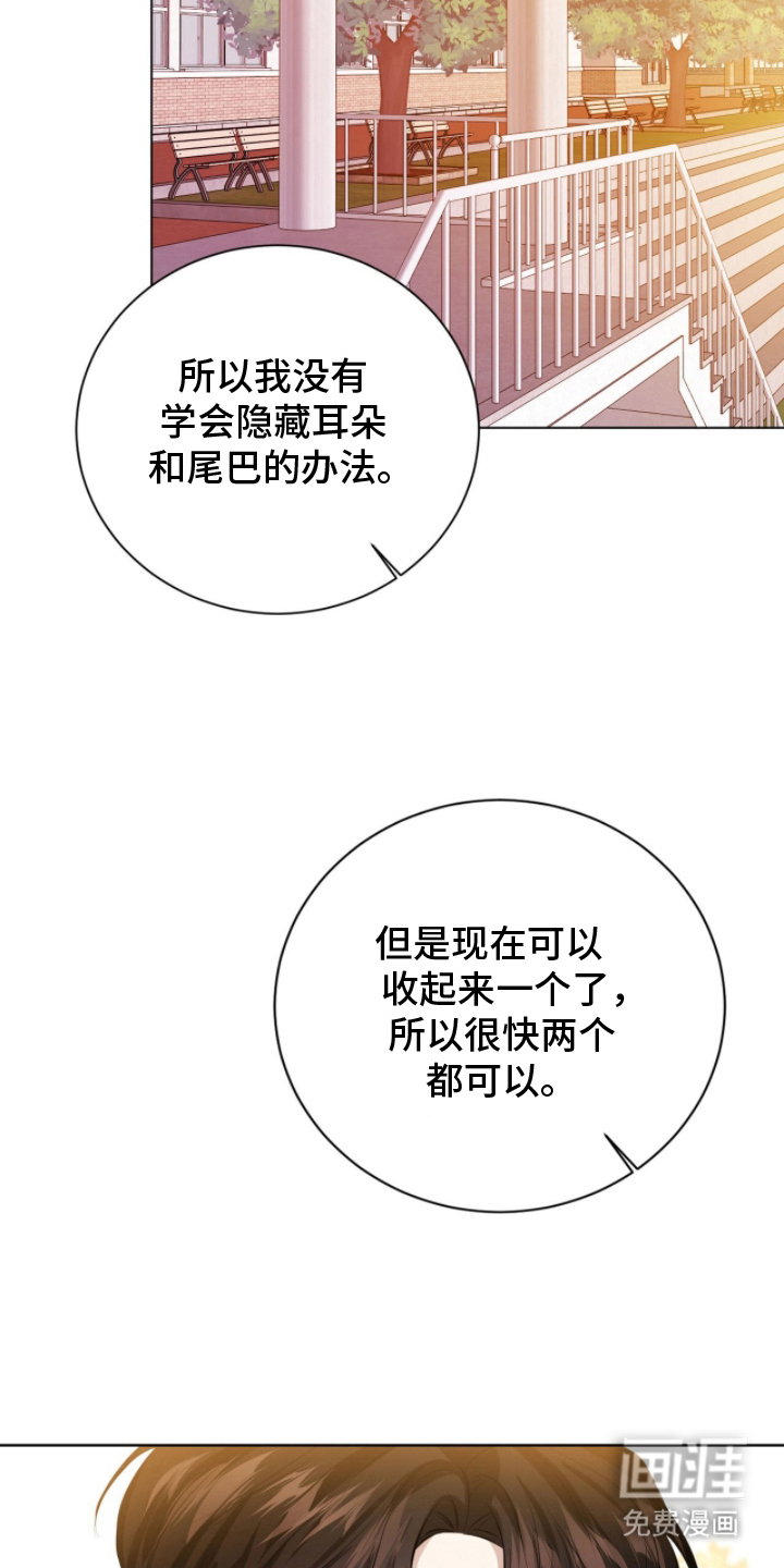 猛兽勿近漫画-图20