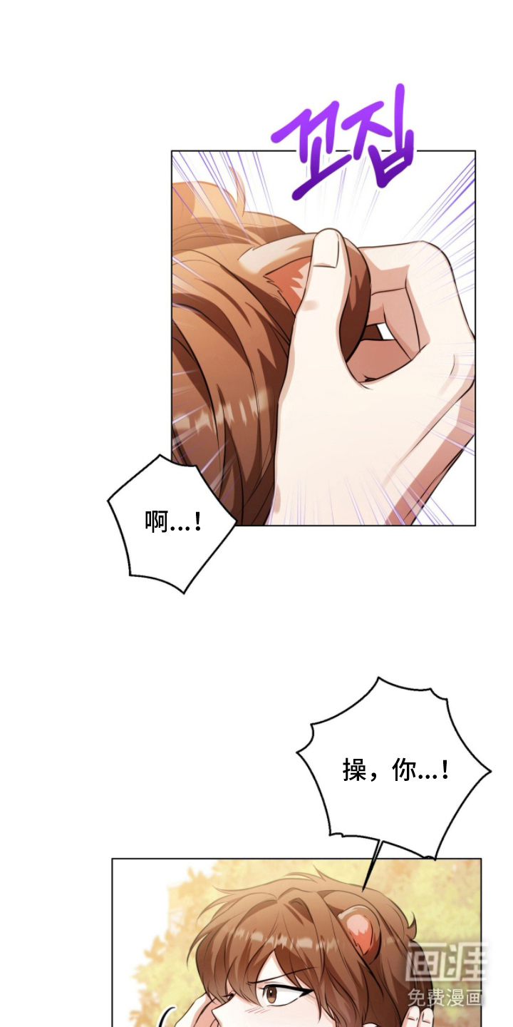 猛兽勿近漫画-图24