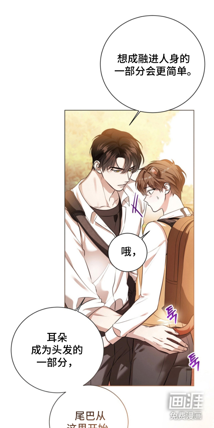 猛兽勿近漫画-图0