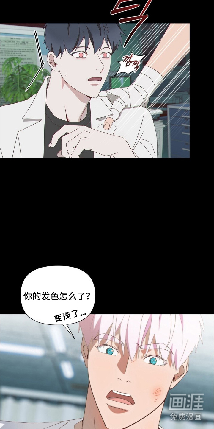 MIGNON漫画-图4