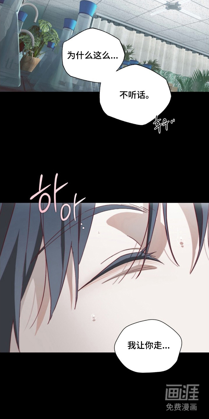 MIGNON漫画-图5