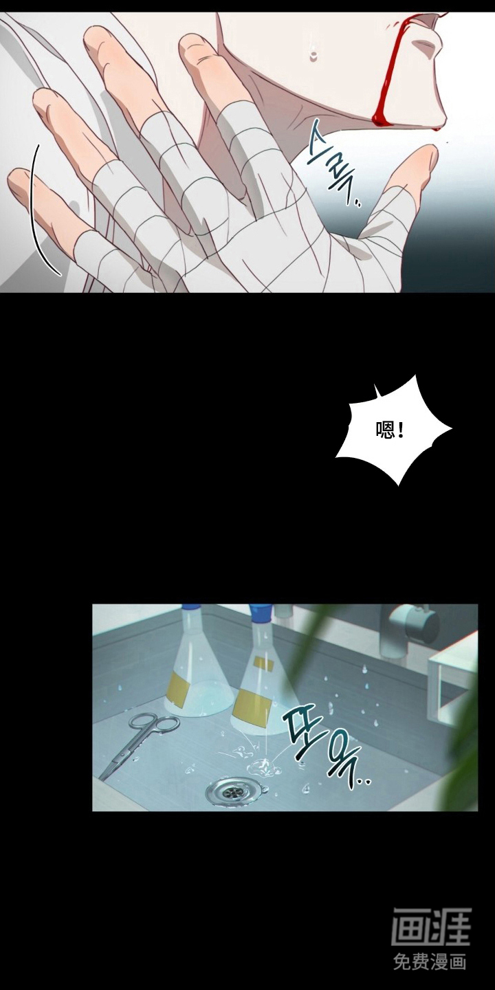 MIGNON漫画-图13