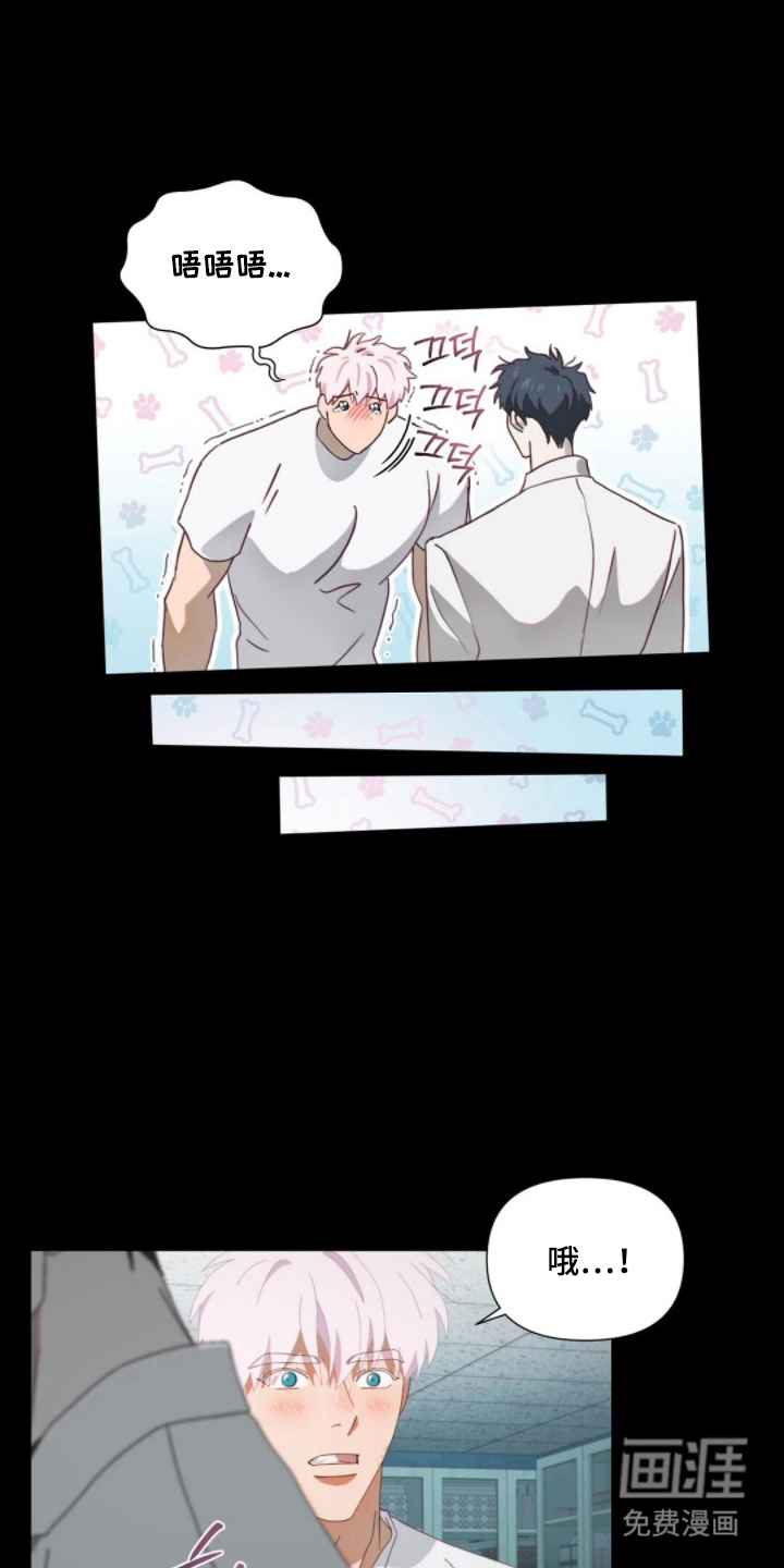 MIGNON漫画-图3