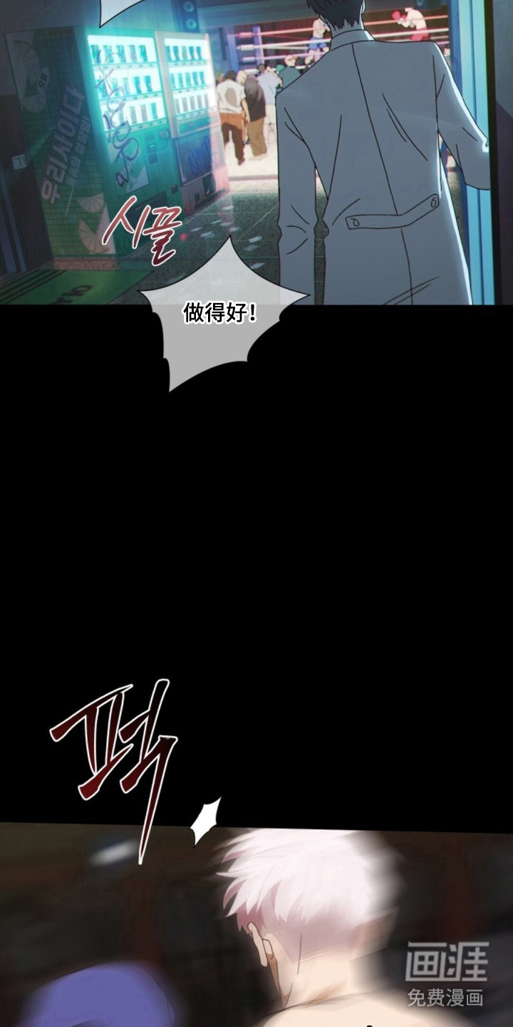 MIGNON漫画-图2