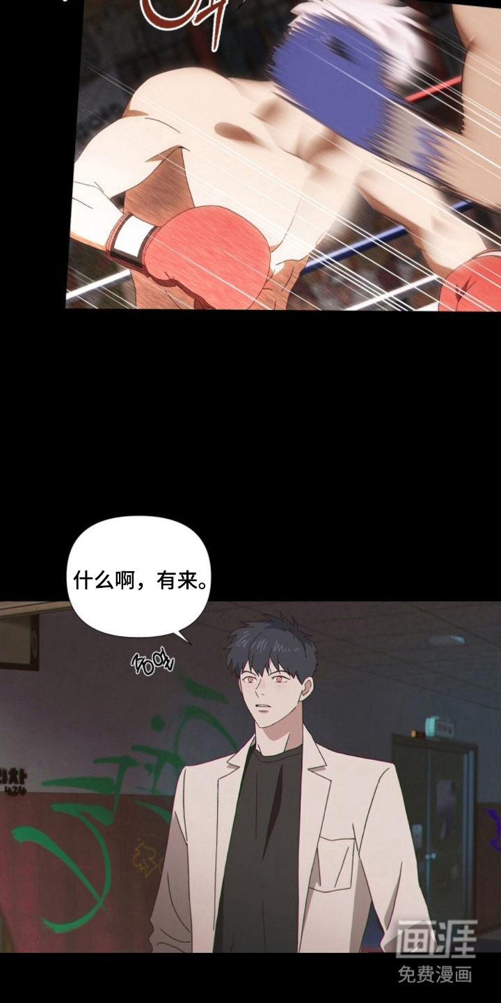 MIGNON漫画-图4