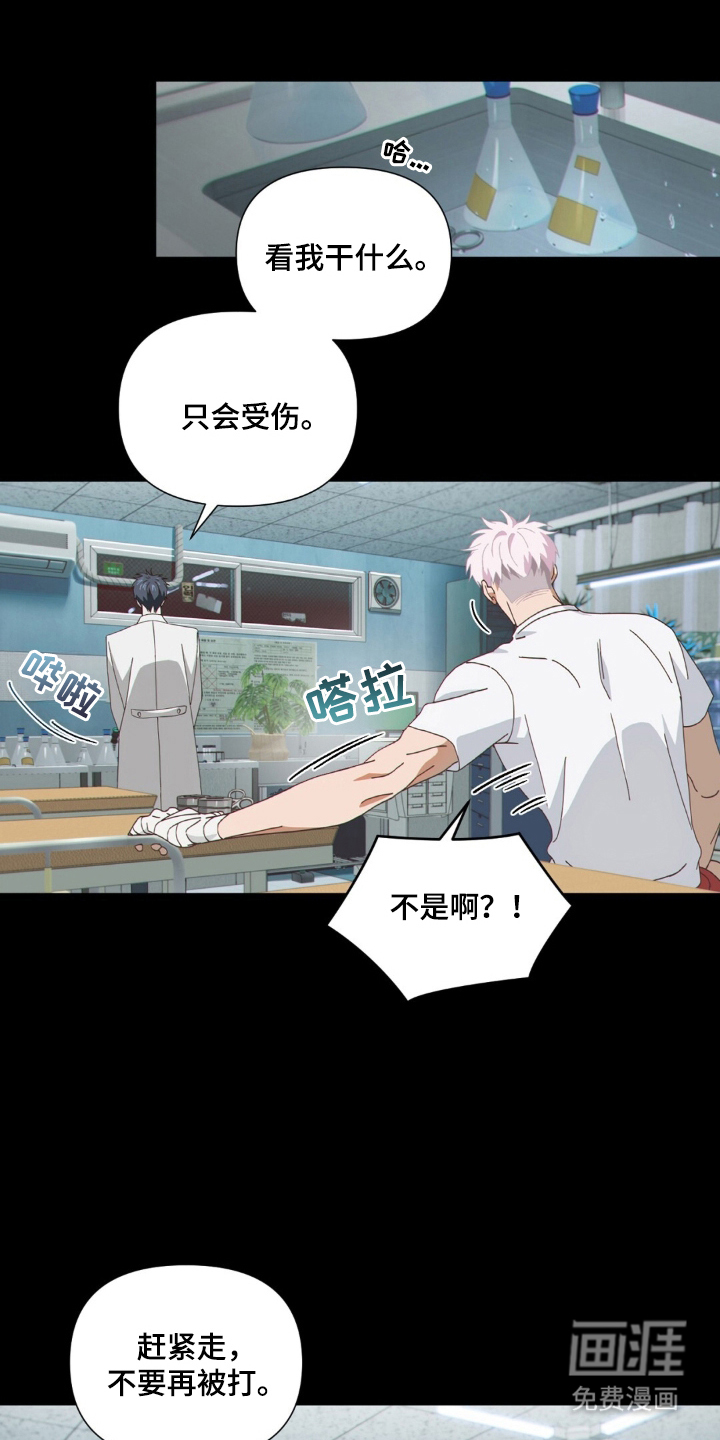 MIGNON 第3话 第4页