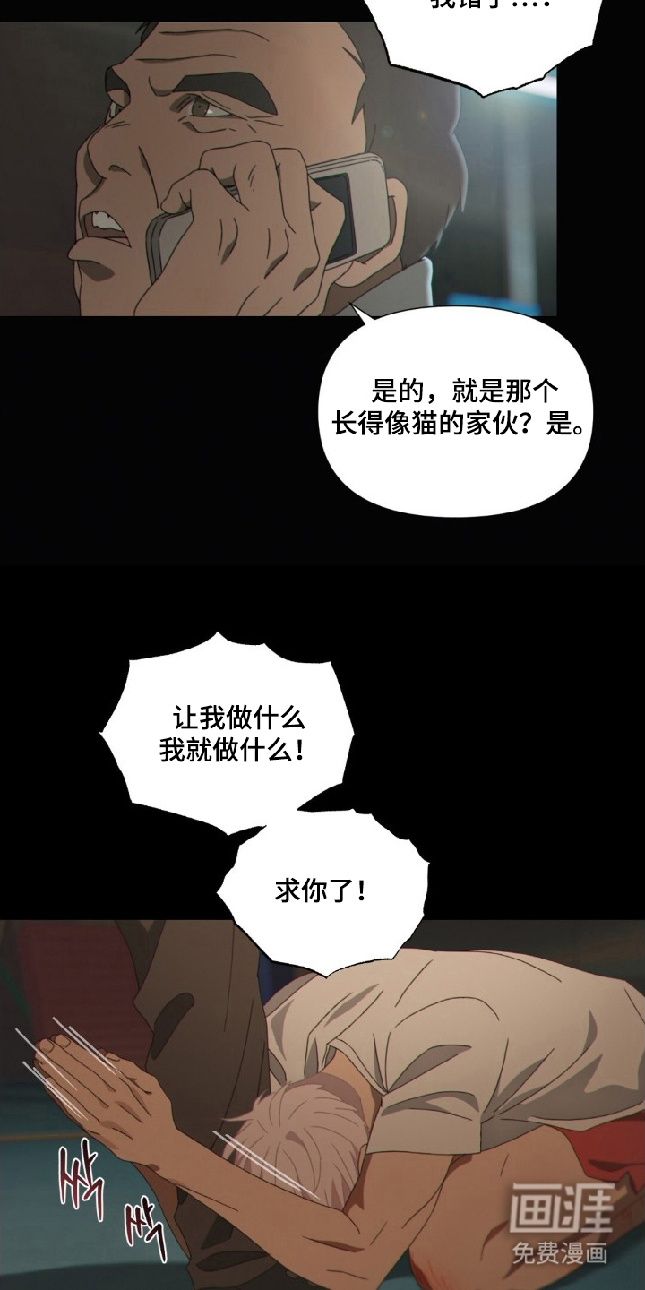 MIGNON漫画-图14