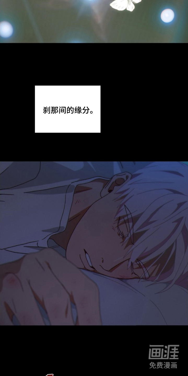 MIGNON漫画-图14
