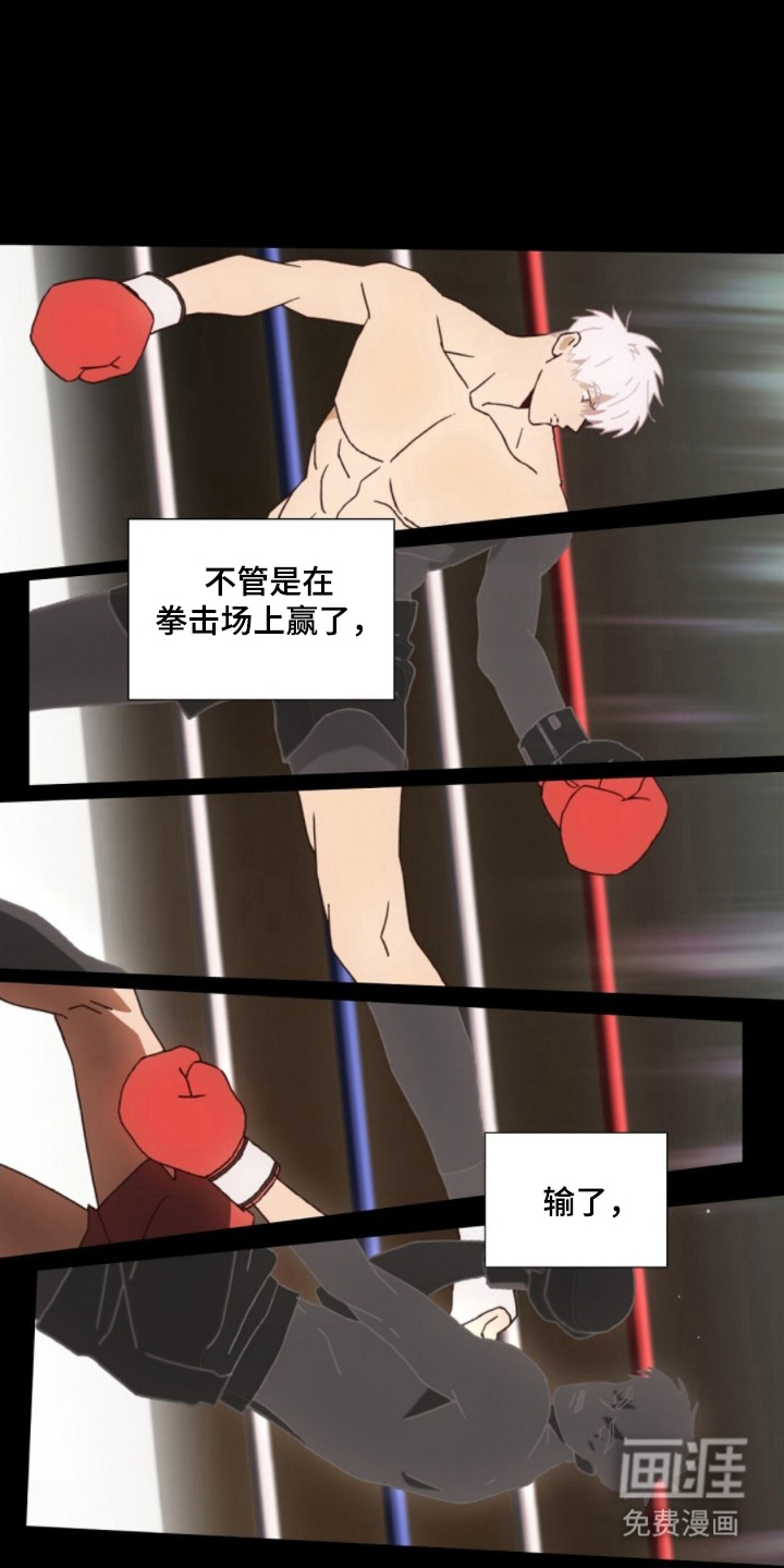 MIGNON漫画-图13