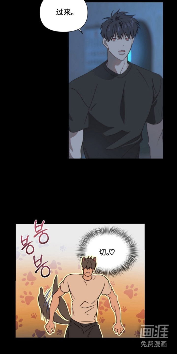 MIGNON漫画-图8