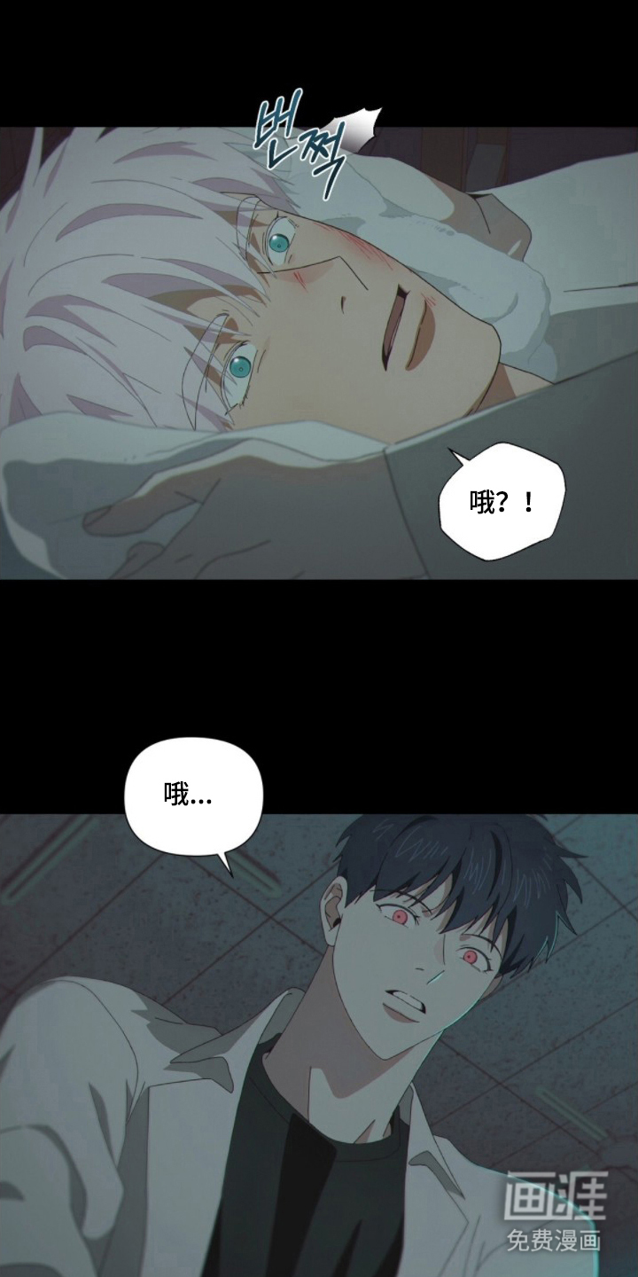 MIGNON 第9话 第17页