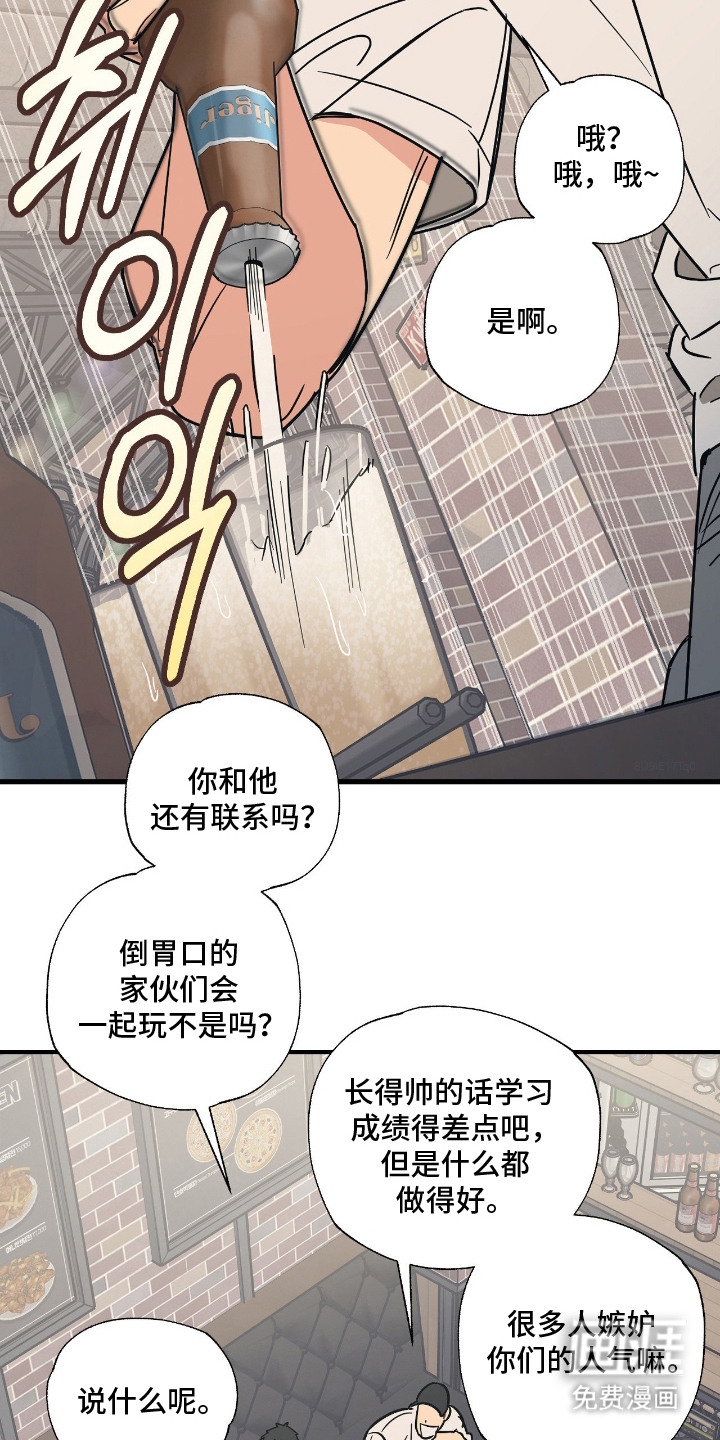 猫大爷和我漫画-图2