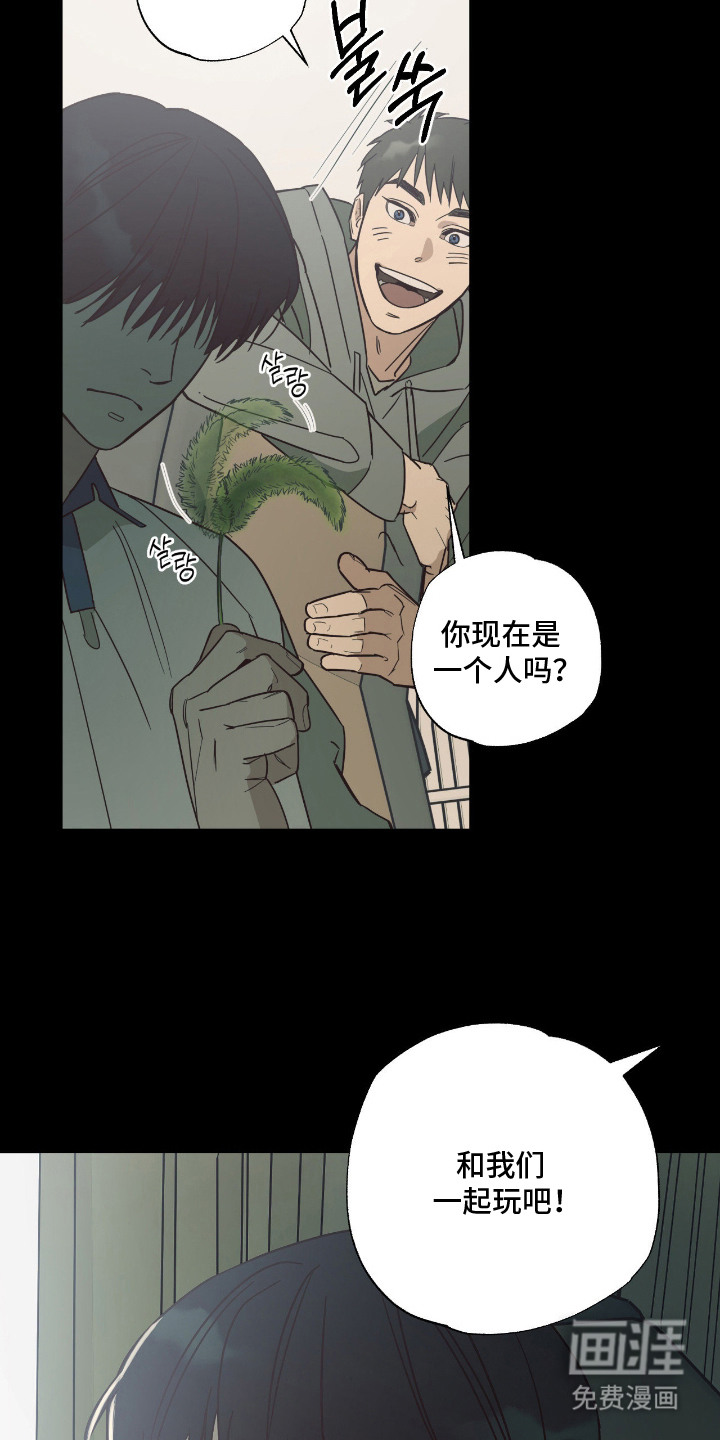 猫大爷和我漫画-图10