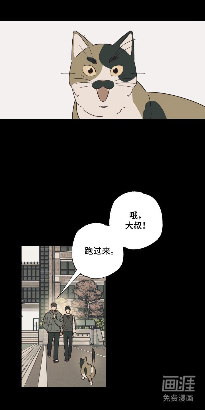 猫大爷和我漫画-图18