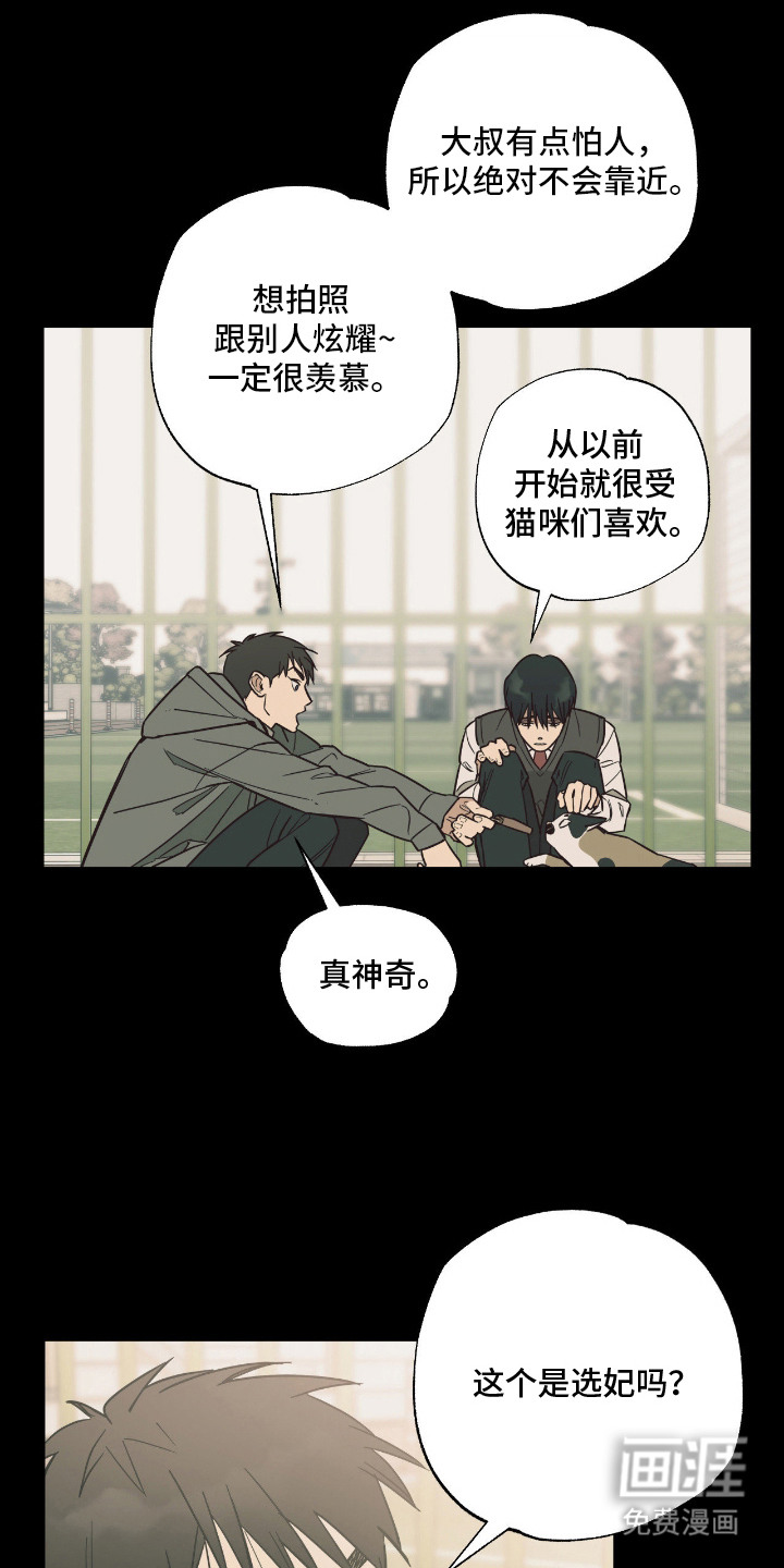 猫大爷和我漫画-图19