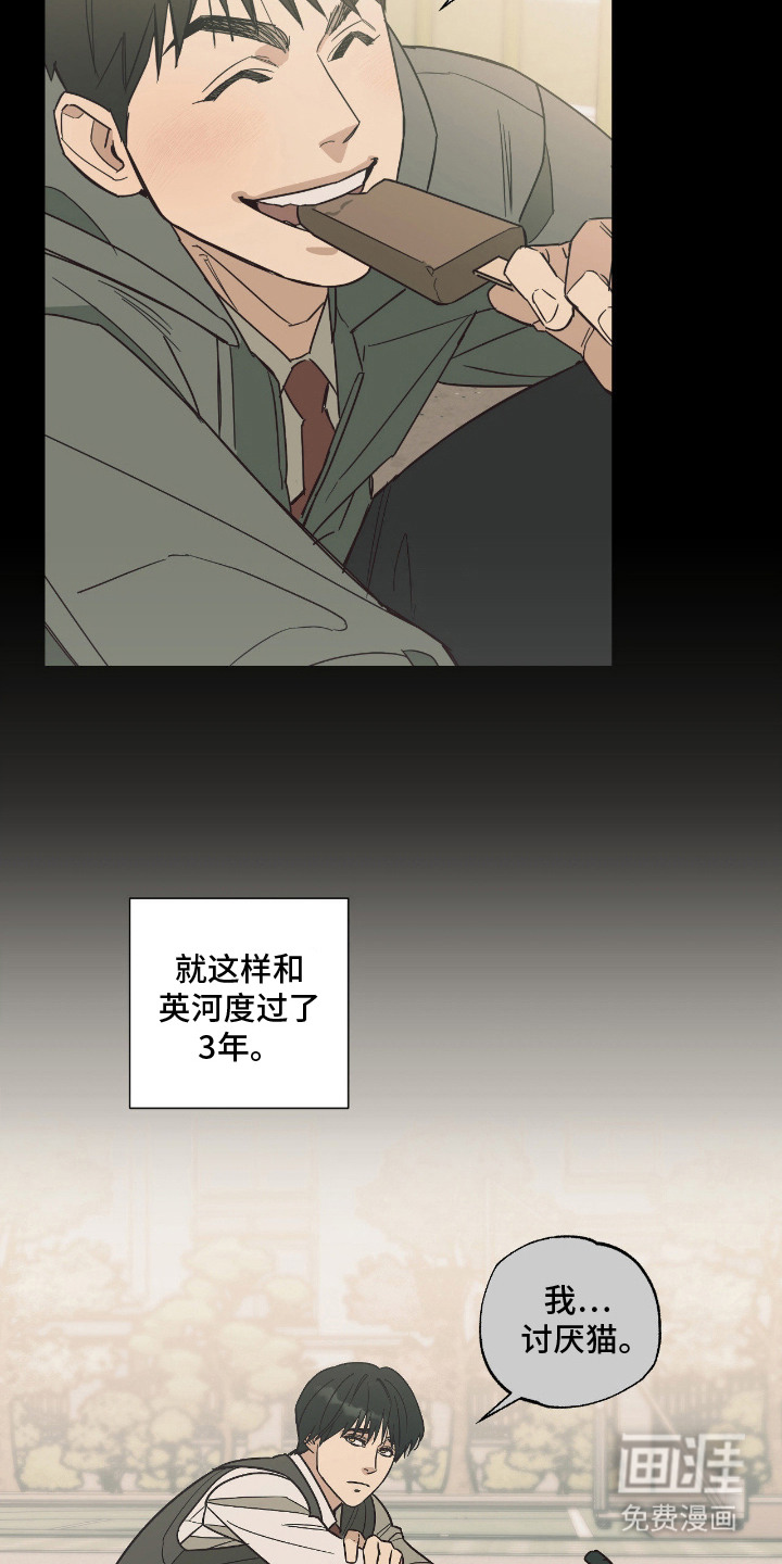 猫大爷和我漫画-图20