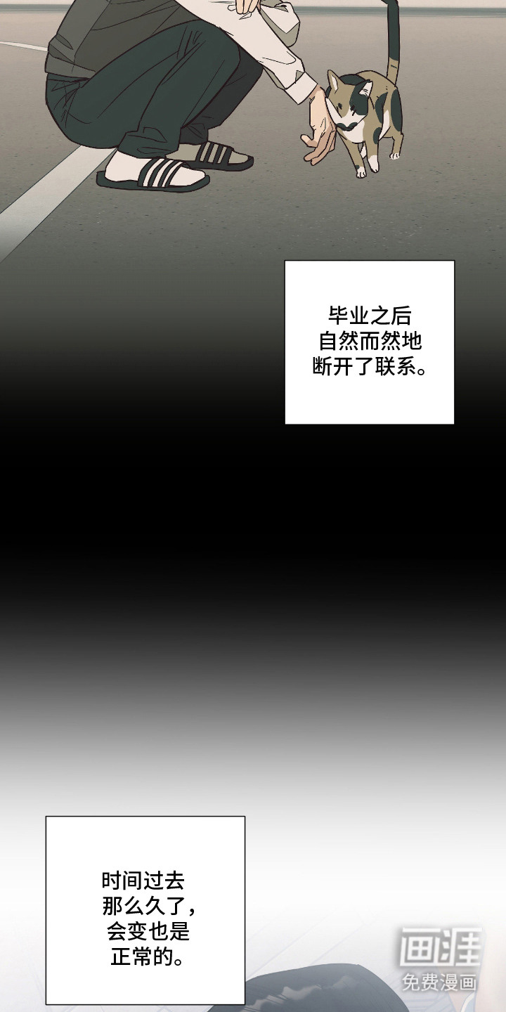 猫大爷和我漫画-图21