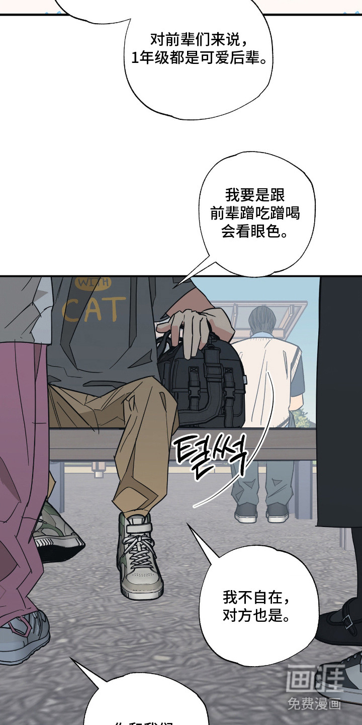 猫大爷和我漫画-图2