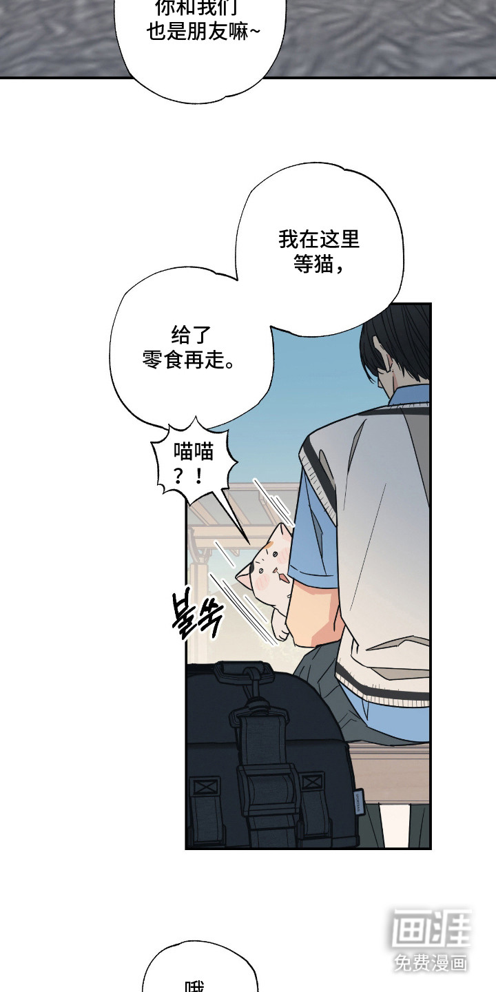 猫大爷和我漫画-图3