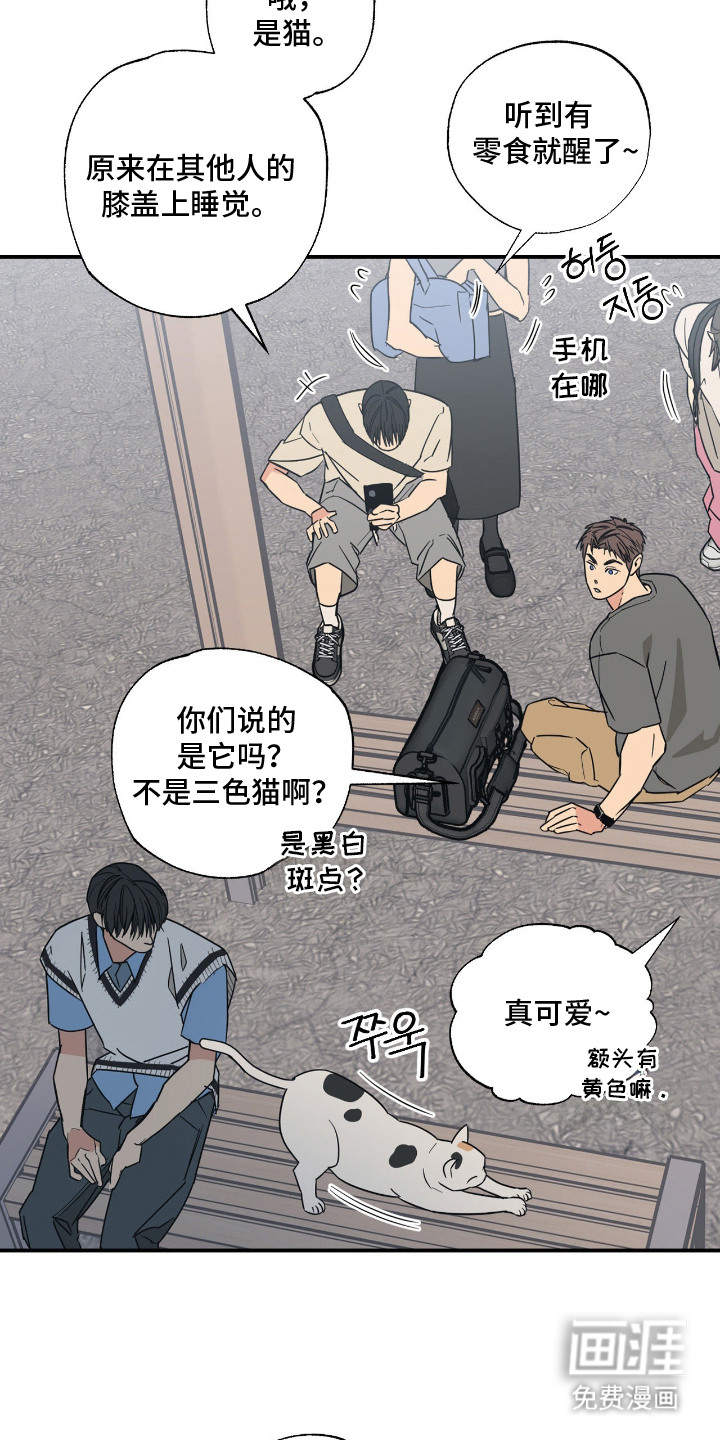 猫大爷和我漫画-图4