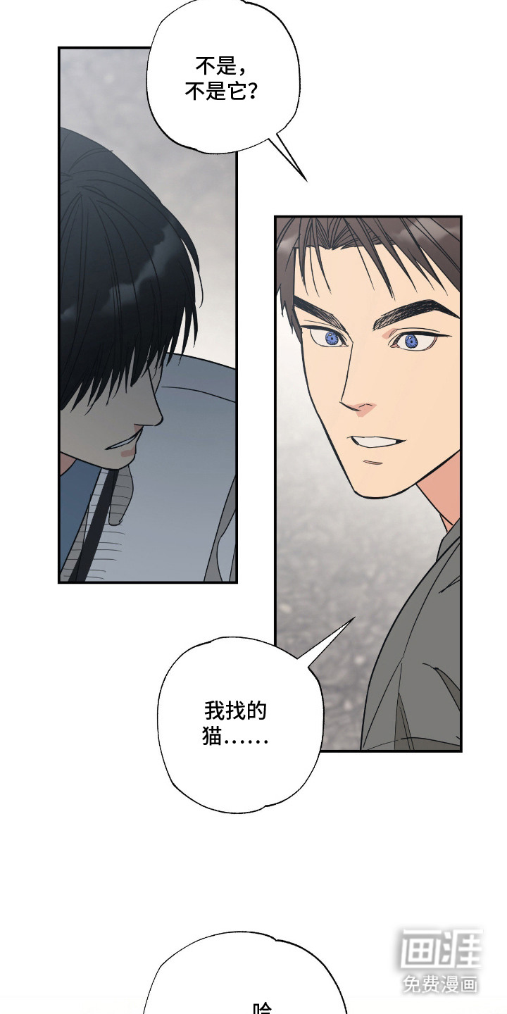 猫大爷和我漫画-图5