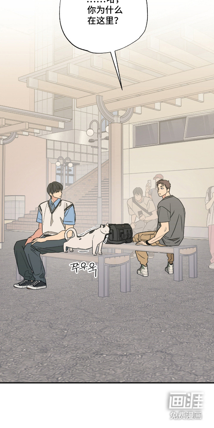 猫大爷和我漫画-图6