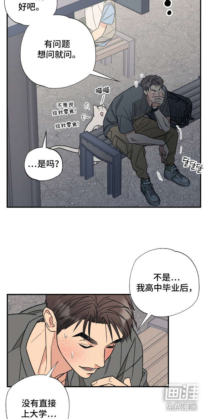 猫大爷和我漫画-图11
