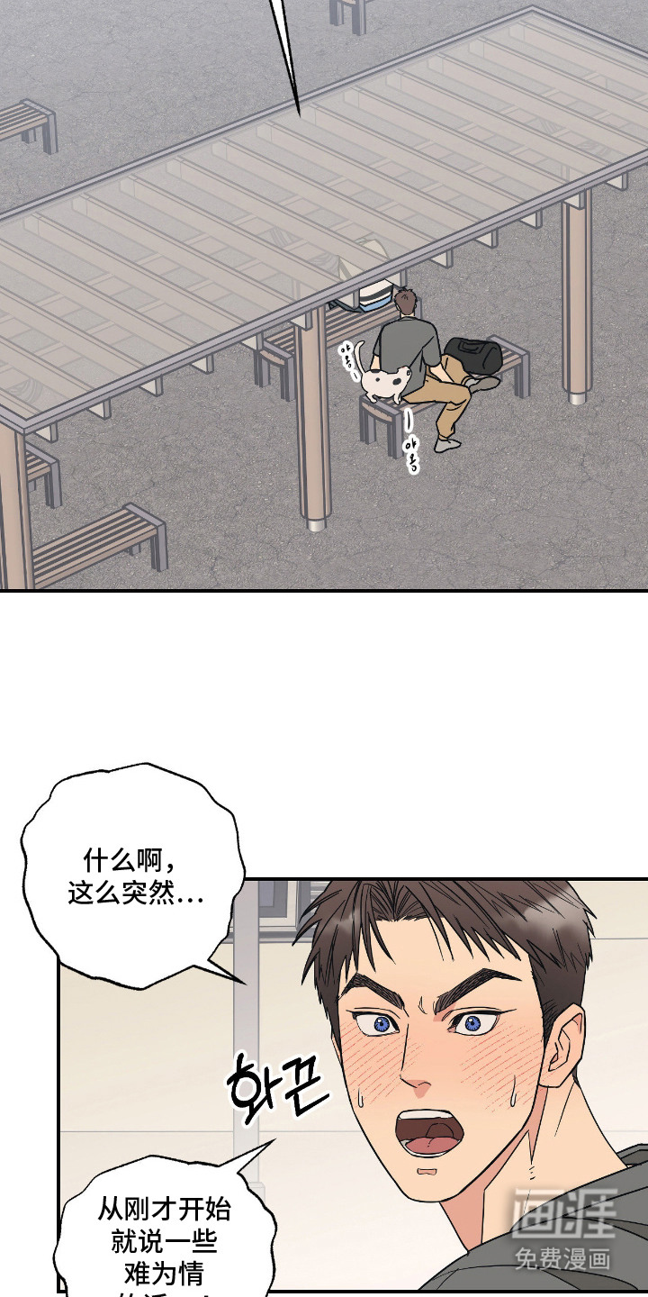 猫大爷和我漫画-图15