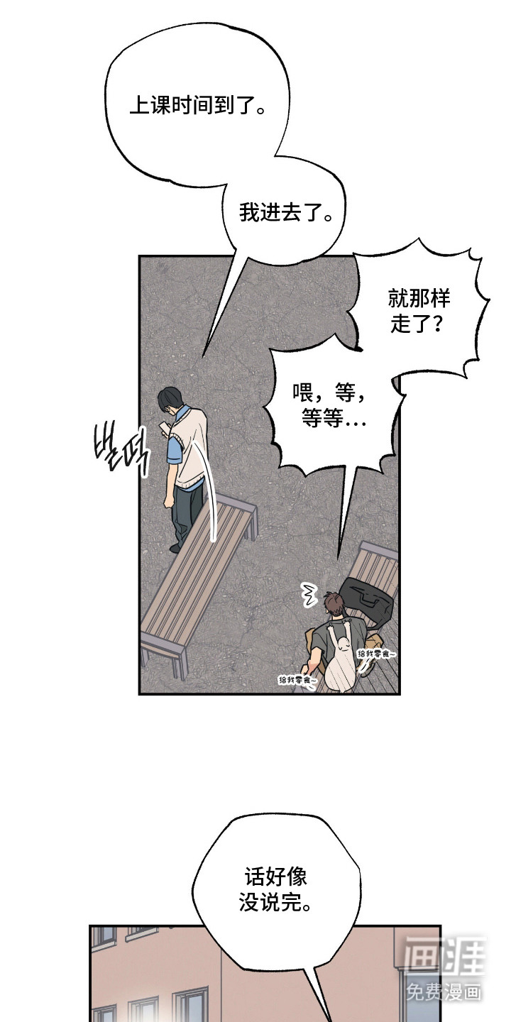 猫大爷和我漫画-图18