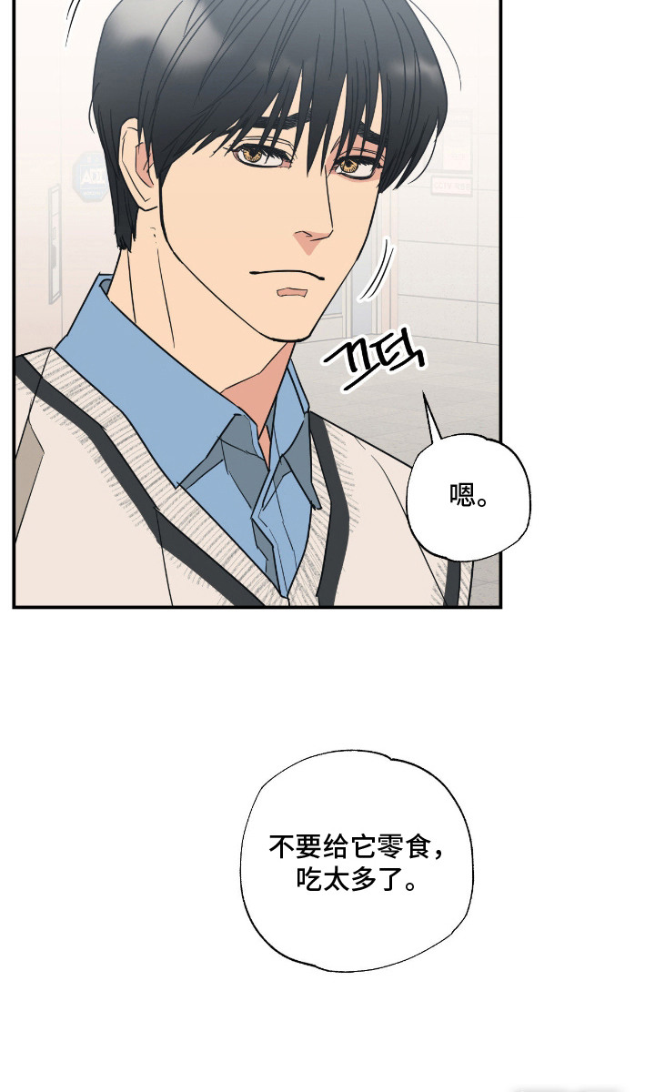 猫大爷和我漫画-图22