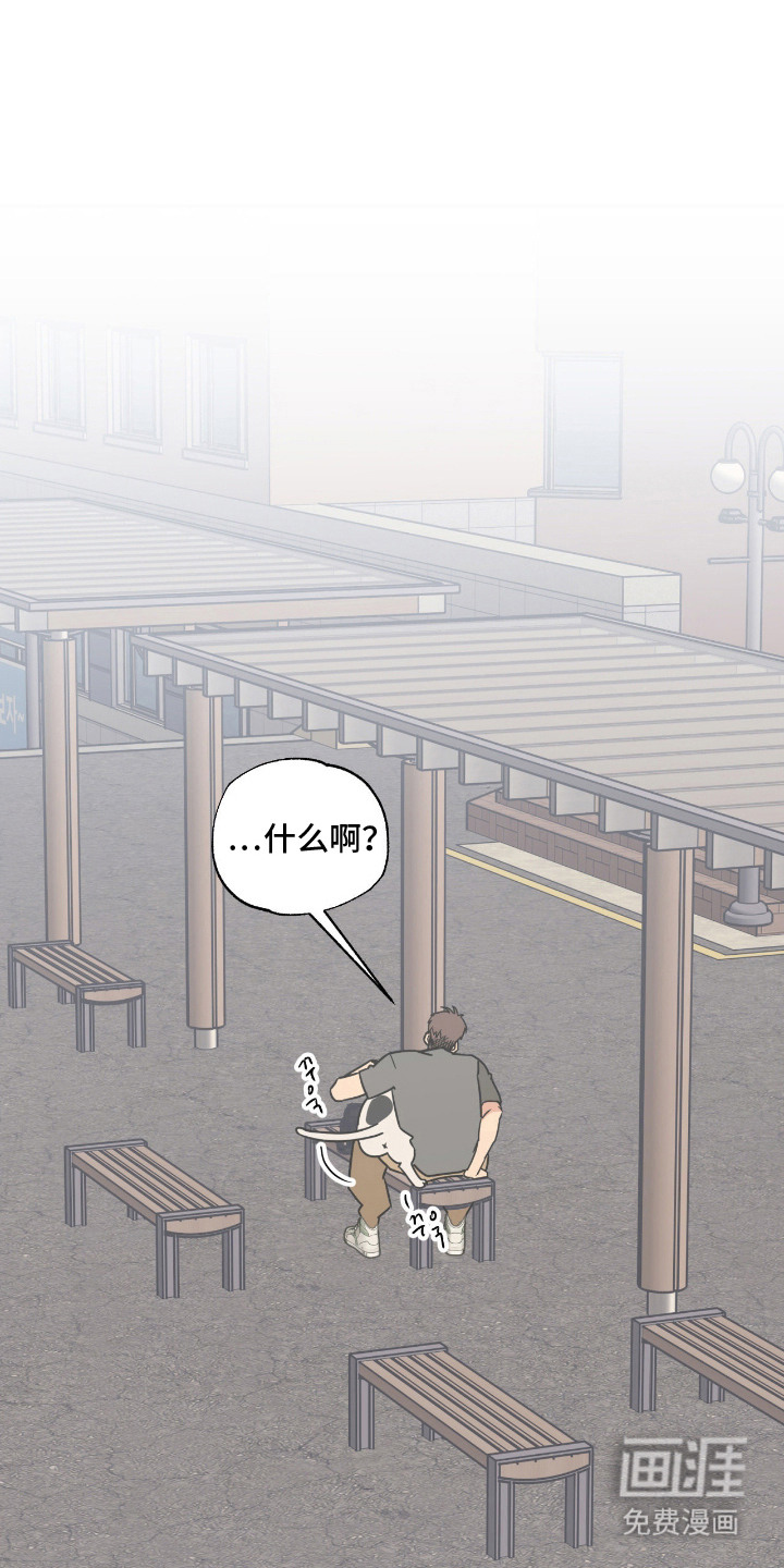 猫大爷和我漫画-图0