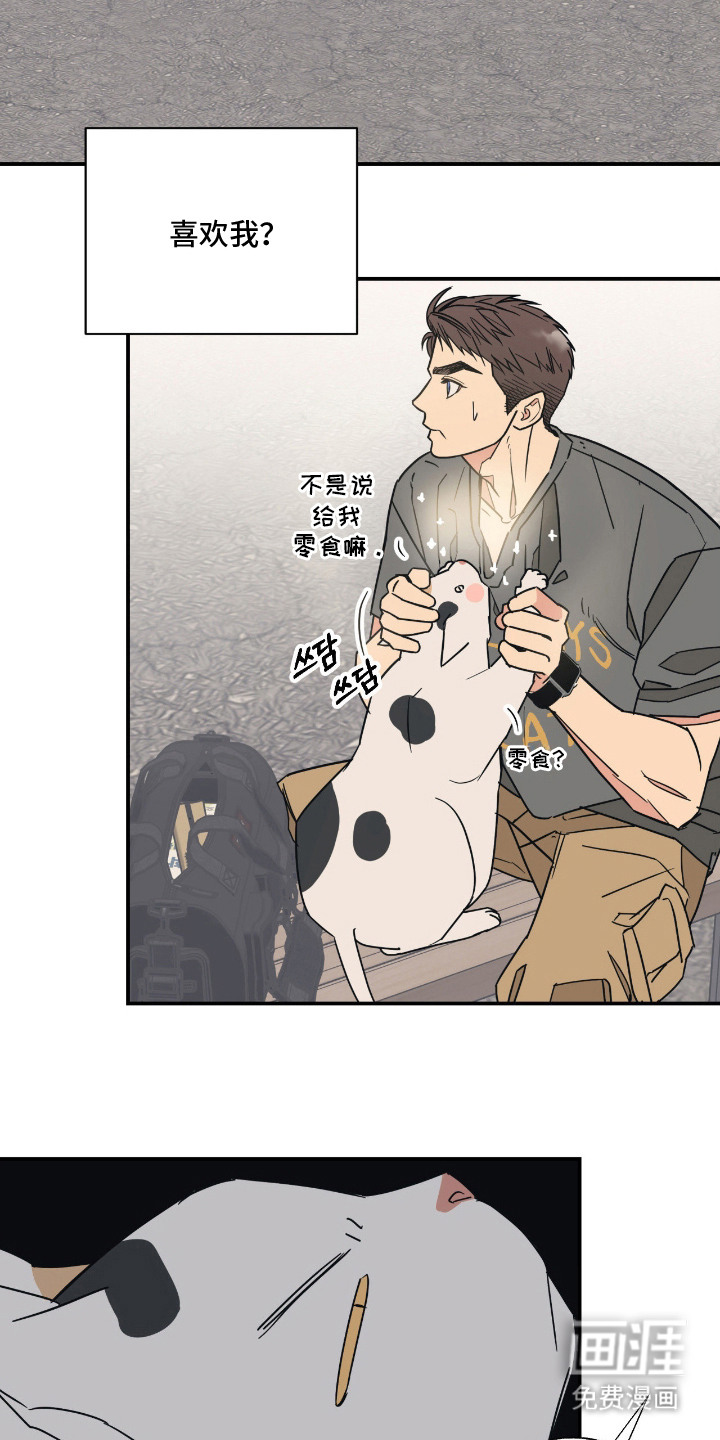 猫大爷和我漫画-图1