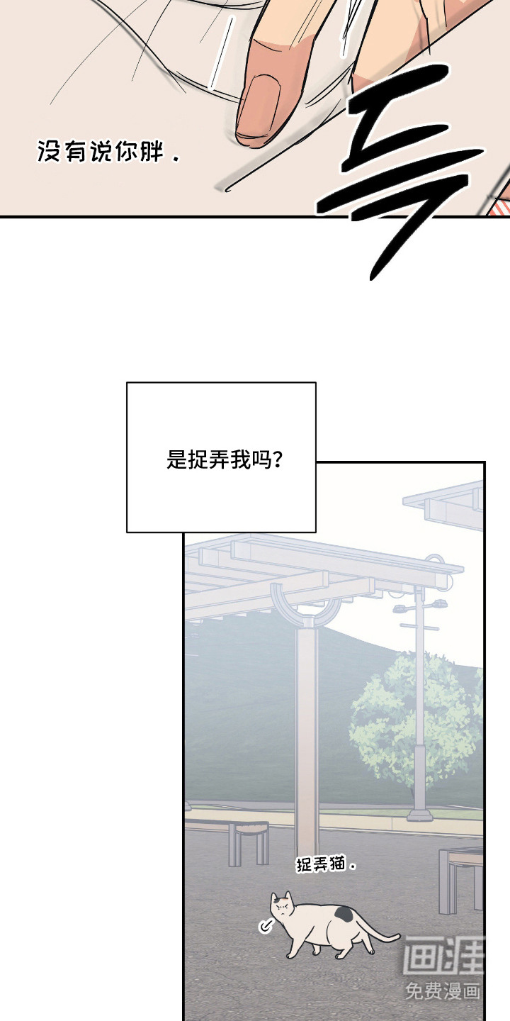 猫大爷和我漫画-图3