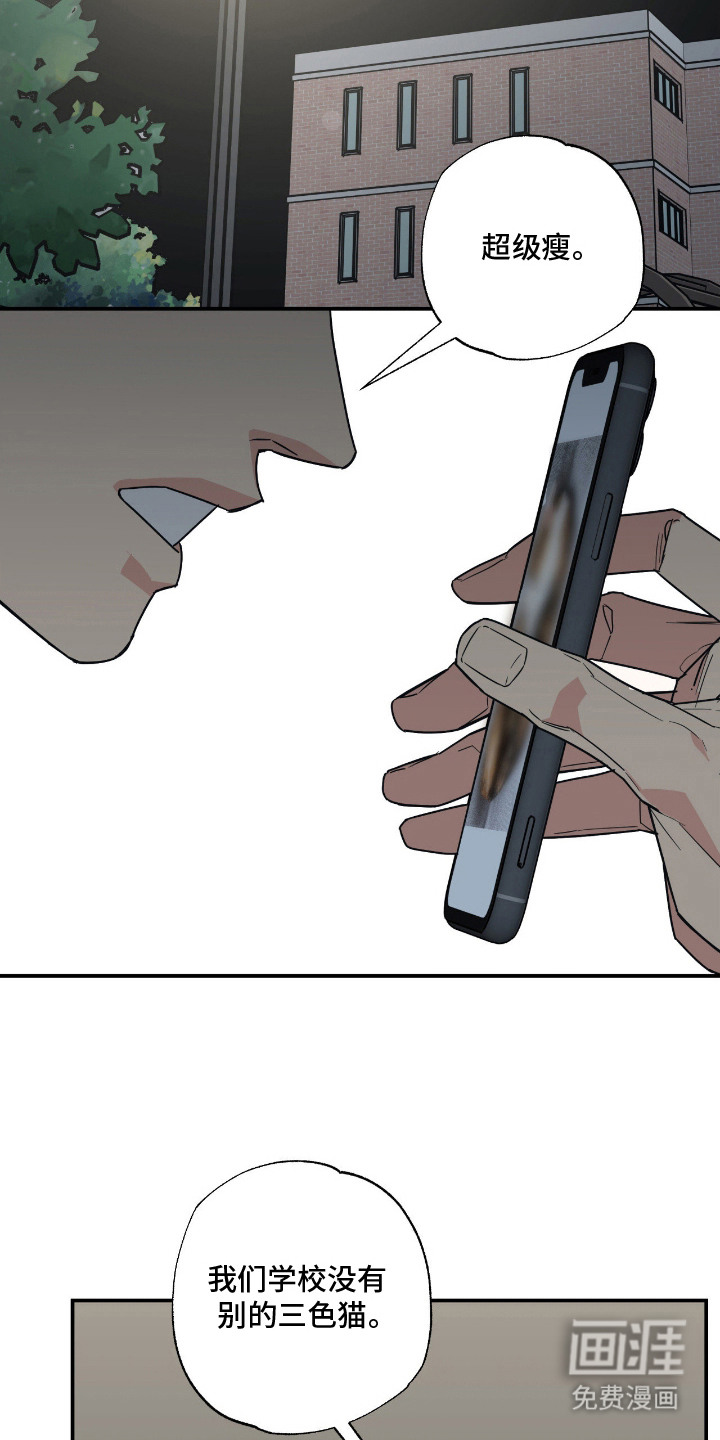 猫大爷和我漫画-图5