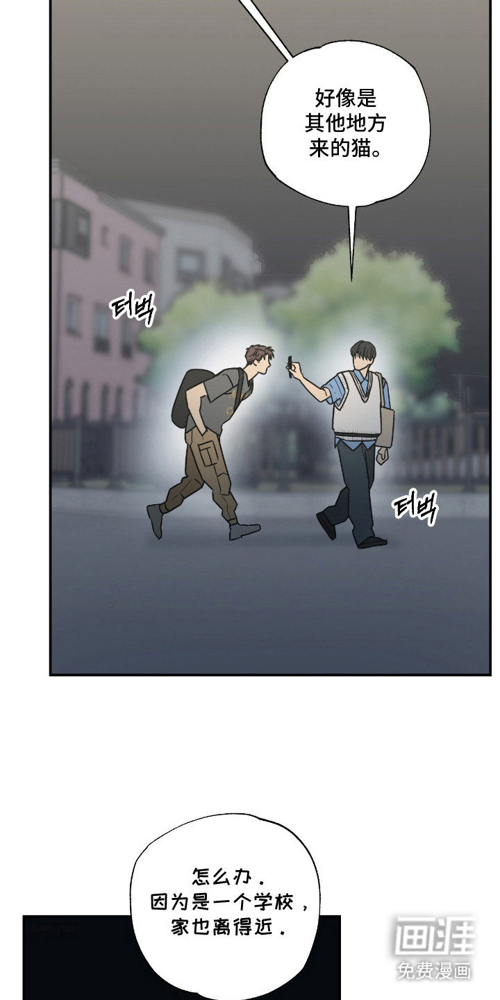 猫大爷和我漫画-图6