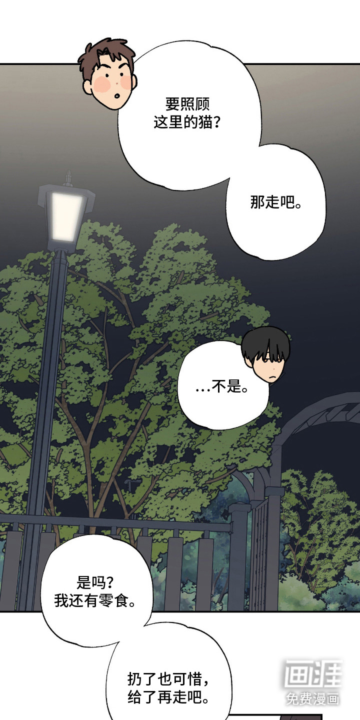 猫大爷和我漫画-图8
